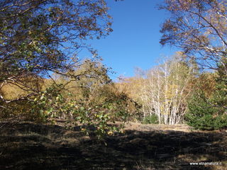 nti Sartorius-04-11-2012 09-24-37